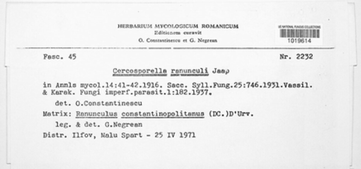 Cercosporella ranunculi image